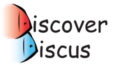 My Splash into the Discus Fish World: Unveiling Discover Discus